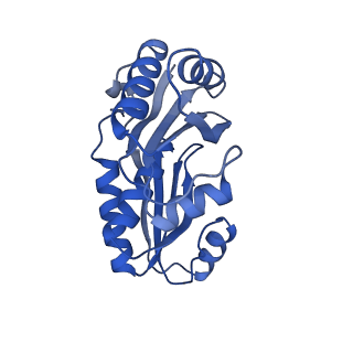 9315_6n0g_H_v1-3
Cryo-EM structure of the HO BMC shell: subregion classified for BMC-T: TS-TDTDTD