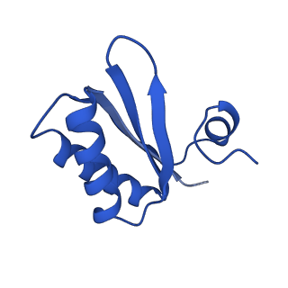 9315_6n0g_IC_v1-3
Cryo-EM structure of the HO BMC shell: subregion classified for BMC-T: TS-TDTDTD