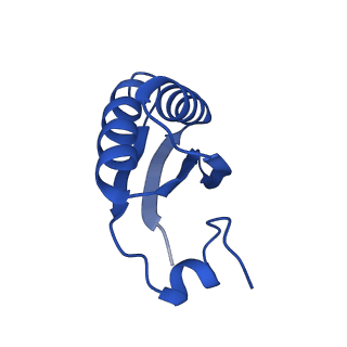 9315_6n0g_IE_v1-3
Cryo-EM structure of the HO BMC shell: subregion classified for BMC-T: TS-TDTDTD