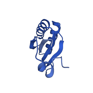 9315_6n0g_IF_v1-3
Cryo-EM structure of the HO BMC shell: subregion classified for BMC-T: TS-TDTDTD