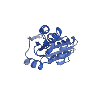 9315_6n0g_I_v1-3
Cryo-EM structure of the HO BMC shell: subregion classified for BMC-T: TS-TDTDTD