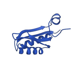 9315_6n0g_JA_v1-3
Cryo-EM structure of the HO BMC shell: subregion classified for BMC-T: TS-TDTDTD