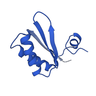 9315_6n0g_JB_v1-3
Cryo-EM structure of the HO BMC shell: subregion classified for BMC-T: TS-TDTDTD