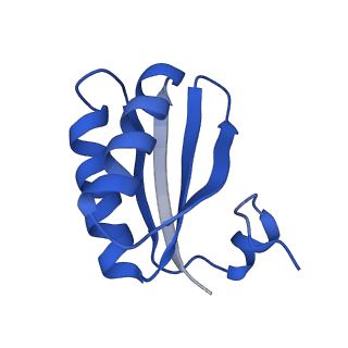 9315_6n0g_JC_v1-3
Cryo-EM structure of the HO BMC shell: subregion classified for BMC-T: TS-TDTDTD