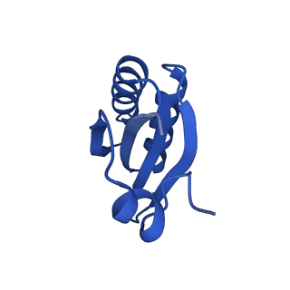 9315_6n0g_JE_v1-3
Cryo-EM structure of the HO BMC shell: subregion classified for BMC-T: TS-TDTDTD