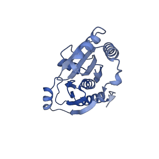 9315_6n0g_J_v1-3
Cryo-EM structure of the HO BMC shell: subregion classified for BMC-T: TS-TDTDTD