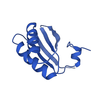 9315_6n0g_KB_v1-3
Cryo-EM structure of the HO BMC shell: subregion classified for BMC-T: TS-TDTDTD