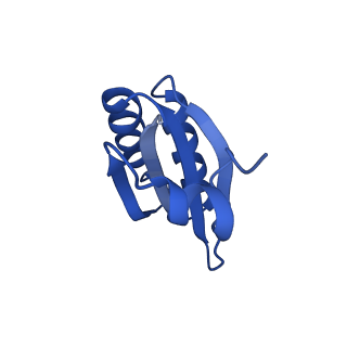 9315_6n0g_KD_v1-3
Cryo-EM structure of the HO BMC shell: subregion classified for BMC-T: TS-TDTDTD