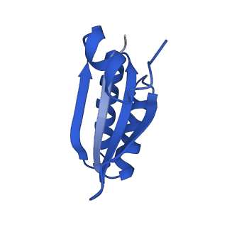 9315_6n0g_KE_v1-3
Cryo-EM structure of the HO BMC shell: subregion classified for BMC-T: TS-TDTDTD