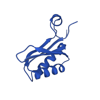 9315_6n0g_KF_v1-3
Cryo-EM structure of the HO BMC shell: subregion classified for BMC-T: TS-TDTDTD