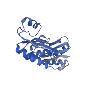 9315_6n0g_K_v1-3
Cryo-EM structure of the HO BMC shell: subregion classified for BMC-T: TS-TDTDTD