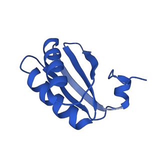 9315_6n0g_LA_v1-3
Cryo-EM structure of the HO BMC shell: subregion classified for BMC-T: TS-TDTDTD