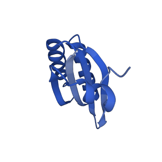 9315_6n0g_LC_v1-3
Cryo-EM structure of the HO BMC shell: subregion classified for BMC-T: TS-TDTDTD