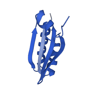 9315_6n0g_LD_v1-3
Cryo-EM structure of the HO BMC shell: subregion classified for BMC-T: TS-TDTDTD