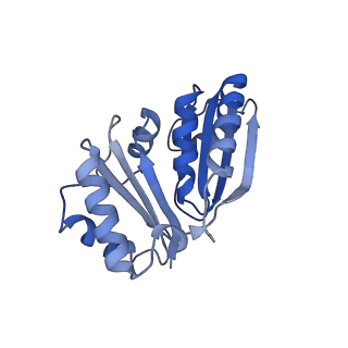 9315_6n0g_L_v1-3
Cryo-EM structure of the HO BMC shell: subregion classified for BMC-T: TS-TDTDTD