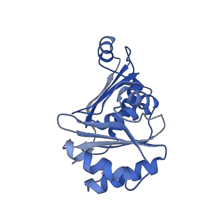 9315_6n0g_M_v1-3
Cryo-EM structure of the HO BMC shell: subregion classified for BMC-T: TS-TDTDTD