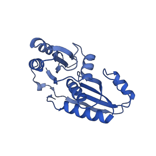 9315_6n0g_N_v1-3
Cryo-EM structure of the HO BMC shell: subregion classified for BMC-T: TS-TDTDTD