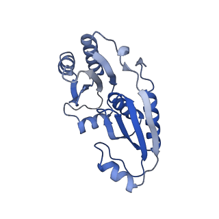 9315_6n0g_P_v1-3
Cryo-EM structure of the HO BMC shell: subregion classified for BMC-T: TS-TDTDTD