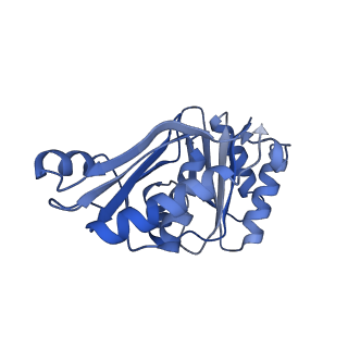 9315_6n0g_Q_v1-3
Cryo-EM structure of the HO BMC shell: subregion classified for BMC-T: TS-TDTDTD