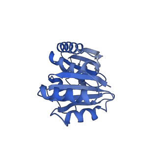 9315_6n0g_R_v1-3
Cryo-EM structure of the HO BMC shell: subregion classified for BMC-T: TS-TDTDTD