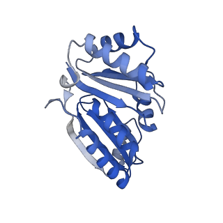 9315_6n0g_S_v1-3
Cryo-EM structure of the HO BMC shell: subregion classified for BMC-T: TS-TDTDTD