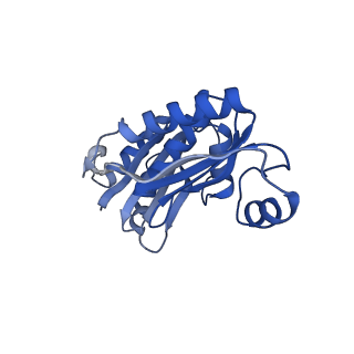 9315_6n0g_T_v1-3
Cryo-EM structure of the HO BMC shell: subregion classified for BMC-T: TS-TDTDTD