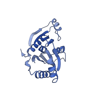 9315_6n0g_U_v1-3
Cryo-EM structure of the HO BMC shell: subregion classified for BMC-T: TS-TDTDTD