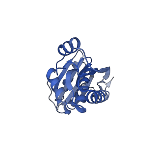 9315_6n0g_V_v1-3
Cryo-EM structure of the HO BMC shell: subregion classified for BMC-T: TS-TDTDTD