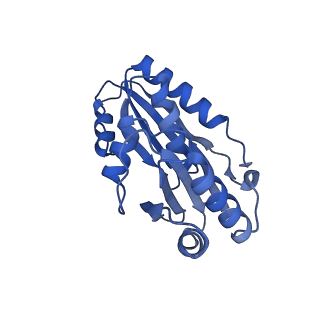 9315_6n0g_W_v1-3
Cryo-EM structure of the HO BMC shell: subregion classified for BMC-T: TS-TDTDTD