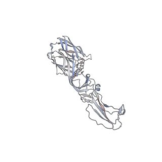 24116_7n1h_A_v1-2
CryoEM structure of Venezuelan equine encephalitis virus VLP in complex with the LDLRAD3 receptor