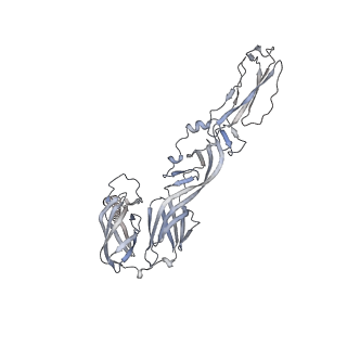24116_7n1h_C_v1-2
CryoEM structure of Venezuelan equine encephalitis virus VLP in complex with the LDLRAD3 receptor