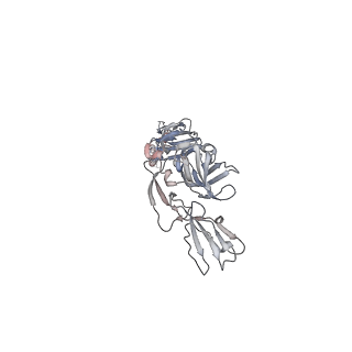 24116_7n1h_E_v1-2
CryoEM structure of Venezuelan equine encephalitis virus VLP in complex with the LDLRAD3 receptor