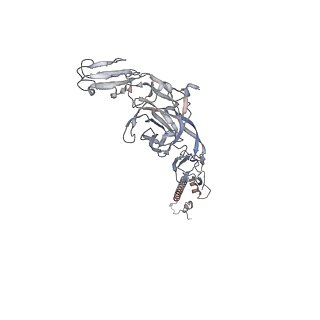 24116_7n1h_F_v1-2
CryoEM structure of Venezuelan equine encephalitis virus VLP in complex with the LDLRAD3 receptor