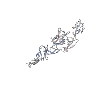 24116_7n1h_G_v1-2
CryoEM structure of Venezuelan equine encephalitis virus VLP in complex with the LDLRAD3 receptor