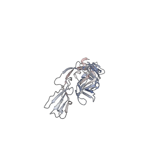 24116_7n1h_H_v1-2
CryoEM structure of Venezuelan equine encephalitis virus VLP in complex with the LDLRAD3 receptor