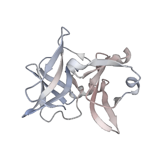 24116_7n1h_I_v1-2
CryoEM structure of Venezuelan equine encephalitis virus VLP in complex with the LDLRAD3 receptor
