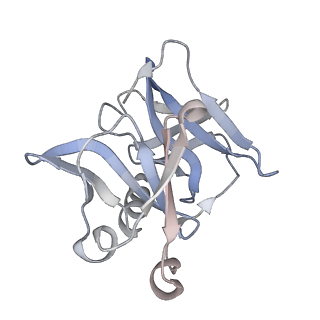 24116_7n1h_J_v1-2
CryoEM structure of Venezuelan equine encephalitis virus VLP in complex with the LDLRAD3 receptor
