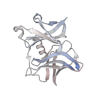 24116_7n1h_K_v1-2
CryoEM structure of Venezuelan equine encephalitis virus VLP in complex with the LDLRAD3 receptor