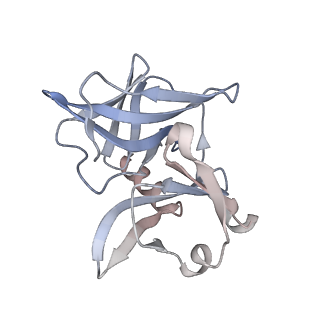 24116_7n1h_L_v1-2
CryoEM structure of Venezuelan equine encephalitis virus VLP in complex with the LDLRAD3 receptor