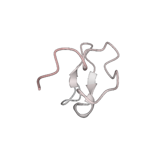 24116_7n1h_M_v1-2
CryoEM structure of Venezuelan equine encephalitis virus VLP in complex with the LDLRAD3 receptor
