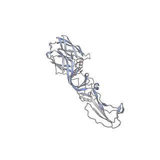 24117_7n1i_A_v1-2
CryoEM structure of Venezuelan equine encephalitis virus VLP