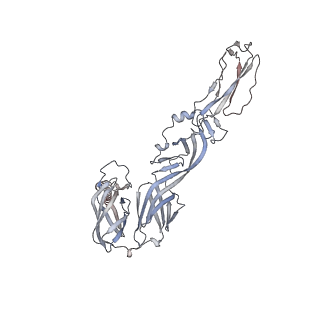 24117_7n1i_C_v1-2
CryoEM structure of Venezuelan equine encephalitis virus VLP