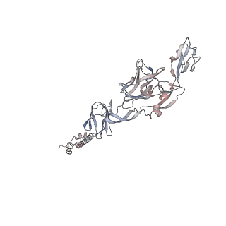 24117_7n1i_G_v1-2
CryoEM structure of Venezuelan equine encephalitis virus VLP