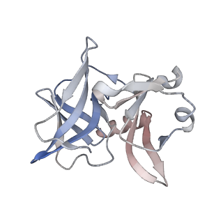 24117_7n1i_I_v1-2
CryoEM structure of Venezuelan equine encephalitis virus VLP