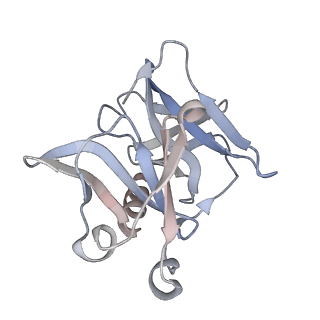 24117_7n1i_J_v1-2
CryoEM structure of Venezuelan equine encephalitis virus VLP