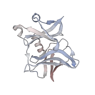 24117_7n1i_K_v1-2
CryoEM structure of Venezuelan equine encephalitis virus VLP