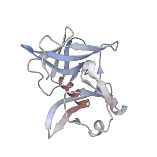 24117_7n1i_L_v1-2
CryoEM structure of Venezuelan equine encephalitis virus VLP