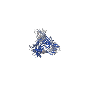 24121_7n1q_A_v1-1
Structural basis for enhanced infectivity and immune evasion of SARS-CoV-2 variants