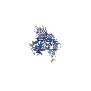 24122_7n1t_B_v1-1
Structural basis for enhanced infectivity and immune evasion of SARS-CoV-2 variants