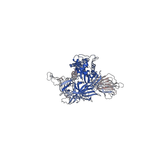 24123_7n1u_A_v1-1
Structural basis for enhanced infectivity and immune evasion of SARS-CoV-2 variants